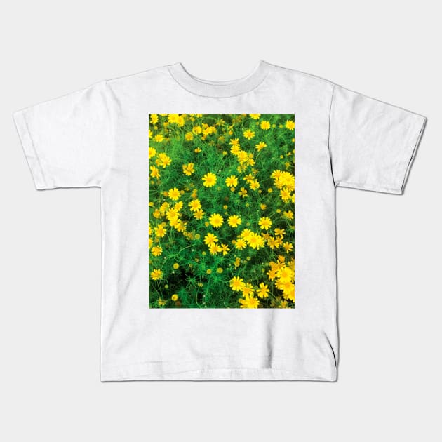 Blooming sulfur cosmos (yellow cosmos) flower bushes Kids T-Shirt by FOGSJ